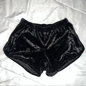 New Velvet Dolphin Shorts